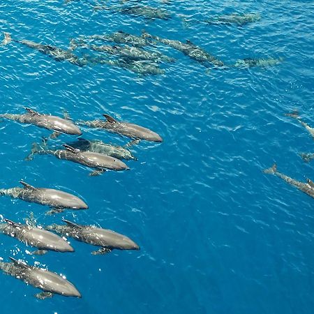 Atauro Dive Resort Beloi Экстерьер фото