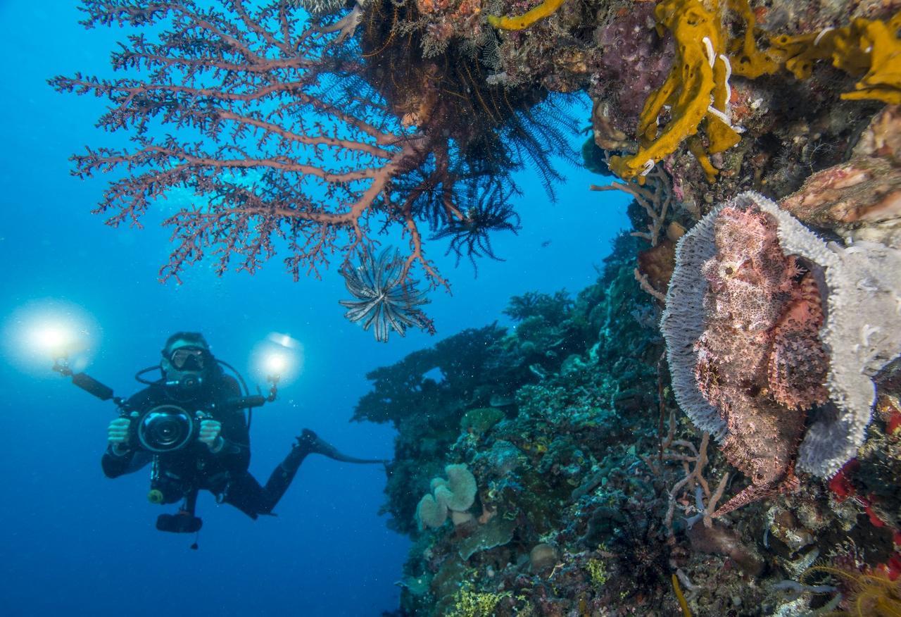 Atauro Dive Resort Beloi Экстерьер фото